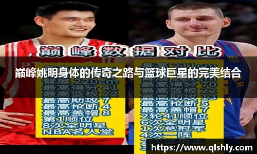 JN体育