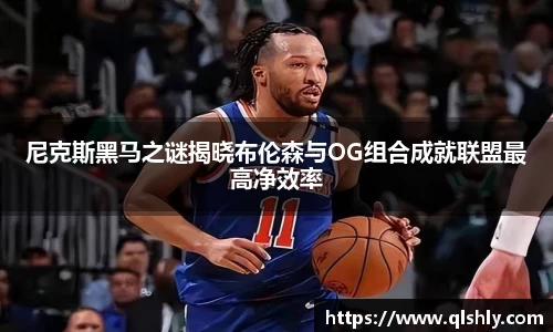 jn江南·体育登录入口